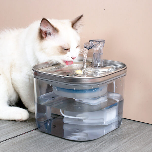Pet Cat Dog Stainless Steel Automatic Circulation Water Dispenser (Intelligent Fountain) – with US/UK electrical outlet options.